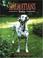 Cover of: DALMATIANS TODAY (Book of the Breed)