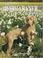 Cover of: The Weimaraner Today (Book of the Breed)