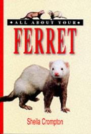 Cover of: All About Your Ferret