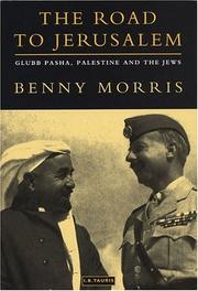 The Road to Jerusalem by Benny Morris