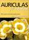 Cover of: Auriculas for Everyone