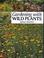 Cover of: Gardening with Wild Plants