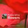 Cover of: Photographing Flowers