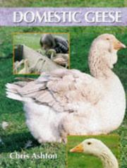 Cover of: Domestic Geese by Ashton