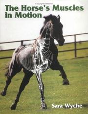 Cover of: Horses Muscles in Motion