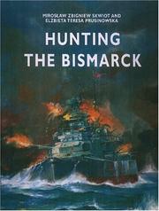 Cover of: Hunting the Bismarck by Miroslaw Skwiot