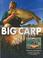 Cover of: Big Carp