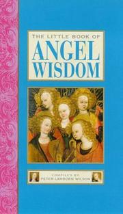 Cover of: The Little Book of Angel Wisdom (The "Little Books" Series) by Peter Lamborn Wilson