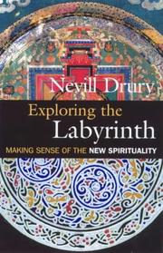 Cover of: Exploring the labyrinth