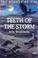 Cover of: Teeth of the Storm (Stones of Fire)