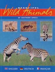 Cover of: Beautiful Wild Animals of Southern Africa (Beautiful) by David Rogers