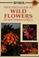 Cover of: Sasol wild flowers of southern Africa