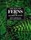Cover of: New Zealand ferns and allied plants