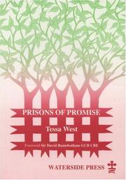 Cover of: Prisons of Promise