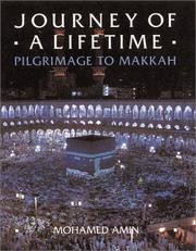 Cover of: Journey of a Lifetime (Journey Through) by Mohamed Amin