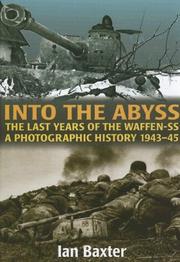 Cover of: INTO THE ABYSS: The Last Years Of The Waffen SS 1943-45, A Photographic History