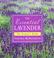 Cover of: The Essential Lavender