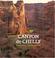 Cover of: Canyon de Chelly National Monument