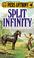 Cover of: Split Infinity (Apprentice Adept)