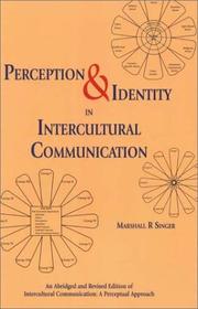 Cover of: Perception & identity in intercultural communication