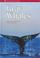 Cover of: Gray whales