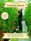 Cover of: Gardening Indoors, New Revised (Gardening Indoors)