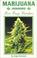 Cover of: Marijuana Indoors