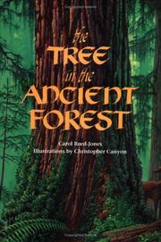 Cover of: The tree in the ancient forest