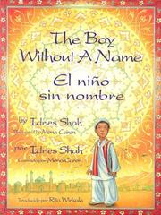 Cover of: The Boy Without a Name/ El Nino Sin Nombre by Idries Shah