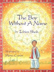 Cover of: The Boy Without a Name