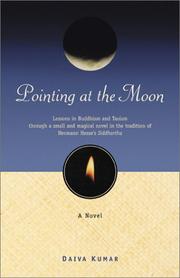 Cover of: Pointing at the moon: a novel