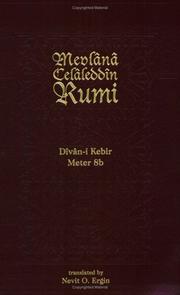 Cover of: Divan Kebir Meter 8b by Nevit Ergin