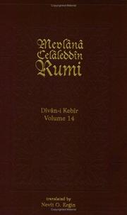 Cover of: Divan-I Kebir Volume 14: Bahr-I Hezec Salim (Divan-I Kebir, 1)