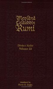 Cover of: Divan-I Kebir Volume 22: Bahr-I Remel Museddes Mahbun (Divan-I Kebir, 1)