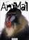 Cover of: Animal