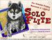 Cover of: SoloFlite