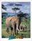 Cover of: Elephants (Zoobooks Series)