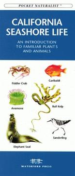Cover of: California Seashore Life: An Introduction to Familiar Plants and Animals (Pocket Naturalist Series)