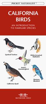 Cover of: California Birds: An Introduction to Familiar Species (Pocket Naturalist)