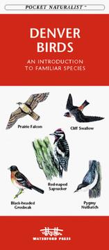 Cover of: Denver Birds: An Introduction to Familiar Species (Pocket Naturalist)