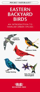Cover of: Eastern Backyard Birds: An Introduction to Familiar Urban Species (Pocket Naturalist)