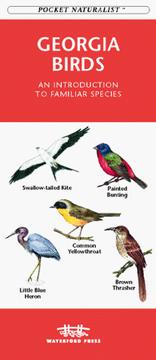 Cover of: Georgia Birds: An Introduction to Familiar Species (Pocket Naturalist)