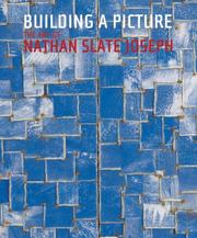 Cover of: Building A Picture | Michael J. Amy