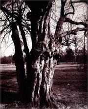 Cover of: Eugène Atget's Trees: Newly Discovered Photographs from the Bibliothèque Nationale de France
