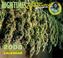 Cover of: High Times 2008 Calendar Presents