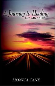 Cover of: A Journey to Healing: Life After SIDs