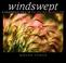 Cover of: Windswept