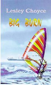 Cover of: Big burn