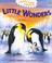 Cover of: Little Wonders