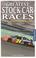 Cover of: Greatest Stock Car Races